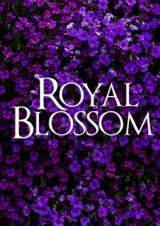 stream free Royal Blossom hd online