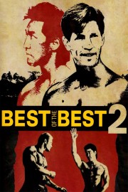 stream free Best of the Best 2 hd online