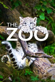 stream free The Zoo hd online