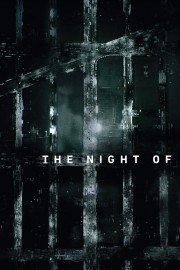 stream free The Night Of hd online