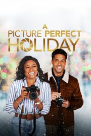 stream free A Picture Perfect Holiday hd online