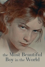 stream free The Most Beautiful Boy in the World hd online