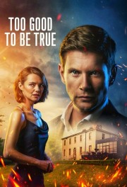 stream free Too Good To Be True hd online