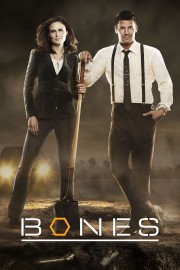 stream free Bones hd online