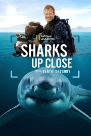 Sharks Up Close with Bertie Gregory watch Sharks Up Close with Bertie Gregory movies free online
