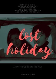 stream free Lost Holiday hd online