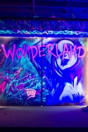 stream free Wonderland hd online