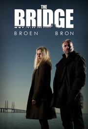 watch The Bridge free online