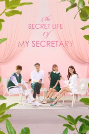 stream free The Secret Life of My Secretary hd online