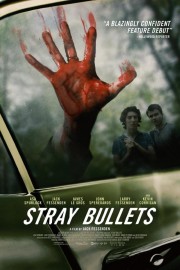 stream free Stray Bullets hd online