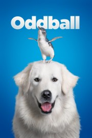 stream free Oddball hd online