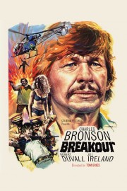 stream free Breakout hd online