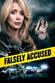 stream free Falsely Accused hd online