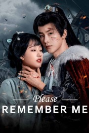 stream free Please Remember Me hd online