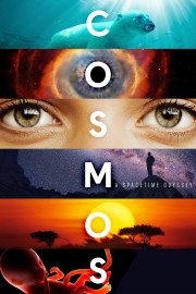 stream free Cosmos hd online