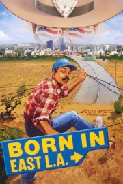 stream free Born in East L.A. hd online