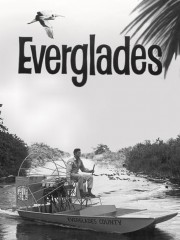 stream free Everglades hd online