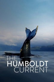 watch The Humboldt Current free online