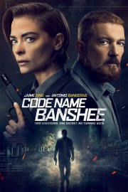 stream free Code Name Banshee hd online