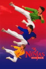 stream free 3 Ninjas Kick Back hd online