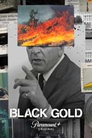 stream free Black Gold hd online