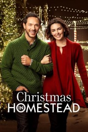 stream free Christmas in Homestead hd online