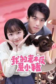 stream free My Piggy Boss hd online