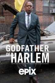 stream free Godfather of Harlem hd online