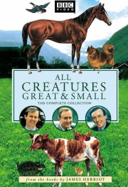 stream free All Creatures Great and Small hd online