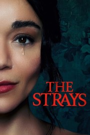 stream free The Strays hd online