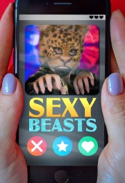 stream free Sexy Beasts hd online