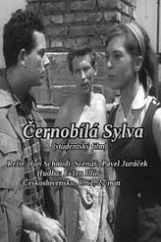 stream free Black and White Sylva hd online