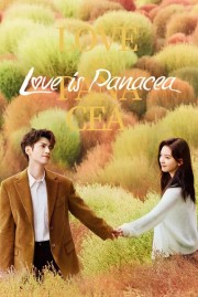 stream free Love is Panacea hd online