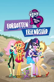 watch My Little Pony: Equestria Girls - Forgotten Friendship free online