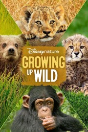 stream free Growing Up Wild hd online