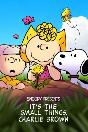 stream free Snoopy Presents: It’s the Small Things, Charlie Brown hd online