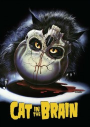 stream free A Cat in the Brain hd online