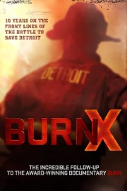 stream free Detroit Burning hd online