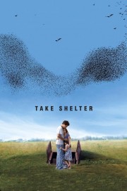 stream free Take Shelter hd online