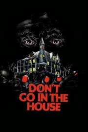 stream free Don't Go in the House hd online