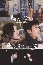 stream free Never Gone hd online