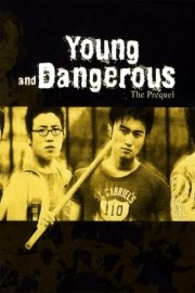 watch Young and Dangerous: The Prequel free online