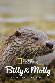 stream free Billy & Molly: An Otter Love Story hd online