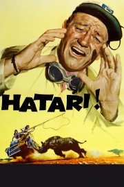 stream free Hatari! hd online