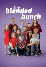 watch The Blended Bunch free online