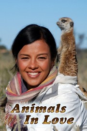 stream free Animals in Love hd online