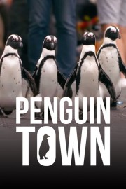 stream free Penguin Town hd online