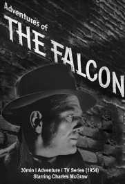 Adventures Of The Falcon