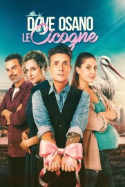 Dove osano le cicogne Dove osano le cicogne