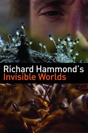 Richard Hammond's Invisible Worlds Richard Hammond's Invisible Worlds